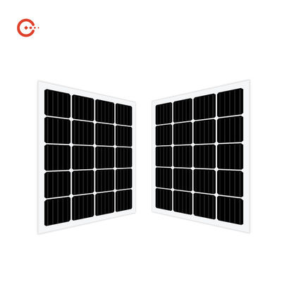 品質  Rixin CE BIPV Solar Panels Transparent Glass Monocrystalline PV Module 工場